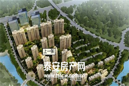 南湾中式别墅四合院桃李春风小桥流水亭台楼阁传世庭院拎包入住